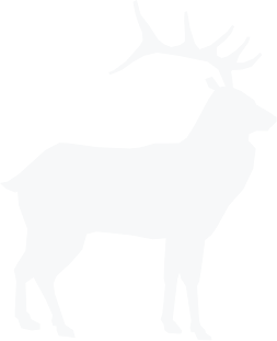 demo-attachment-166-Path-6300 demo-attachment-166-Path-6300